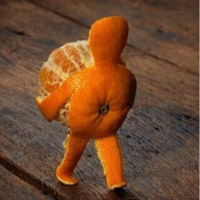 zuk blog image.png